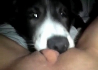 POV fucking session with a twisted mutt