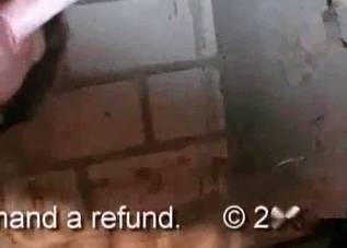 Gorgeous horse enjoying bestiality sex in HD