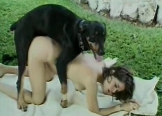 Dirty dog drilling a tight human pussy