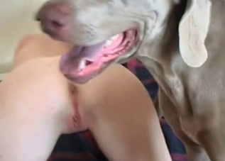 Incredibly sexy babe wants to fuck a mutt