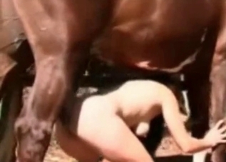 Hooker hired by a horse gets fucked on camera