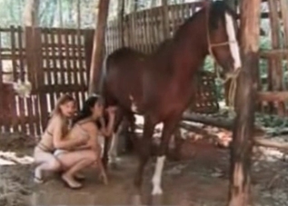 Big-dicked horse is really into these two sluts