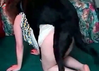 Racy redhead wants dog cock, right now