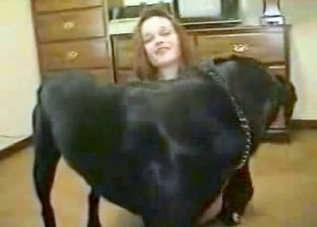 Dog's dick is getting deepthroated by a brunette