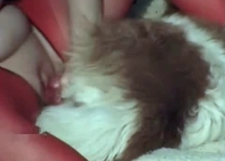 Hardcore mutt enjoying close-up fucking