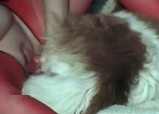 Hardcore mutt enjoying close-up fucking