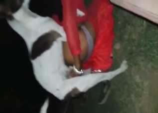 Cute chick doesn't mind fucking her own puppy
