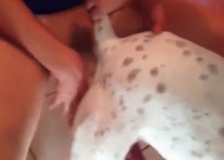 Amateur bestial sex recorded in high quality