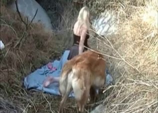 Dog fucking this blond-haired yokel on cam