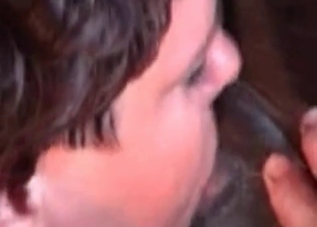 Farm fucking with a hung stallion