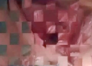 Tight pussy innocent chick ravaged by a horse