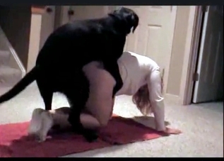 Kinky routine for a sex-starved dog