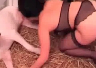Cute chick enjoying this dog's huge cock