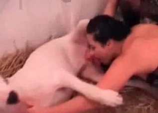 Cute chick enjoying this dog's huge cock