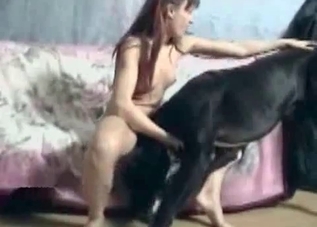 Dirty dog commands this slut to undress