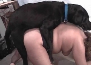 High-energy bestiality banging session