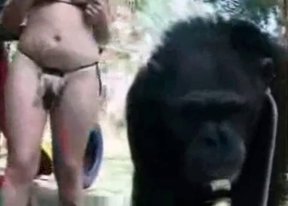 Impressive bestiality with a huge beast