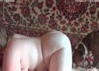Tasty little pussy getting banged by a mutt