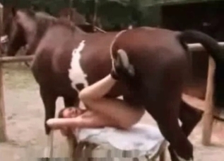Pussy getting ravaged by a merciless horse