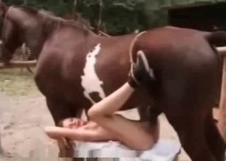 Pussy getting ravaged by a merciless horse