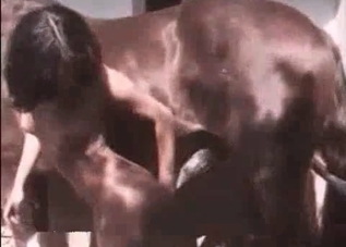 Horse dong is getting pleasured by a stripper