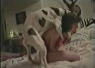 Basic bitch only craves dog dick