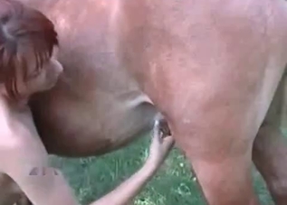 Horny horse fucking a sexed-up redheaded
