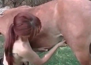 Horny horse fucking a sexed-up redheaded