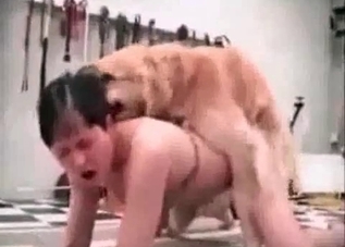 Cute dog and two submissive bitches