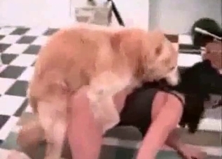 Cute dog and two submissive bitches