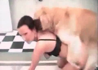 Cute dog and two submissive bitches