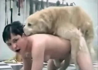 Cute dog and two submissive bitches