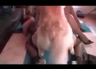 Cute chick gets power-fucked by a dog