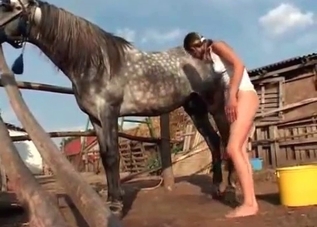 Washing her horny horse on camera
