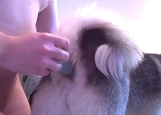 This dog asshole is about to get annihilated