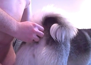 This dog asshole is about to get annihilated