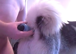 This dog asshole is about to get annihilated