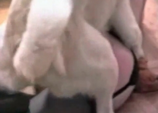 Incredibly sexy dog and this seductive slut