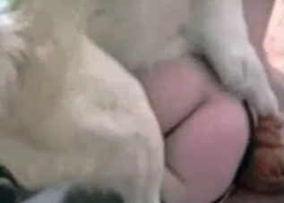 Incredibly sexy dog and this seductive slut