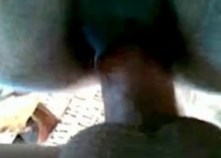 Gorgeous horse enjoying insane anal fucking