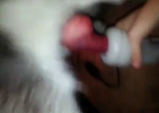 Big-dicked husky is proud of his dong