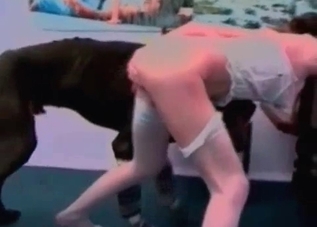 Dirty Doberman rapes a submissive slut