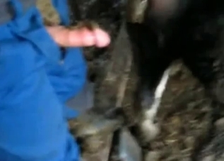 Pretty hot dog gets banged by a hung owner