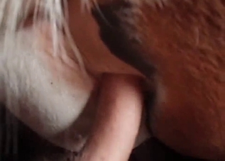 Dude blasting that dripping mare cunt