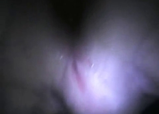 Close-up passionate bestiality in HD