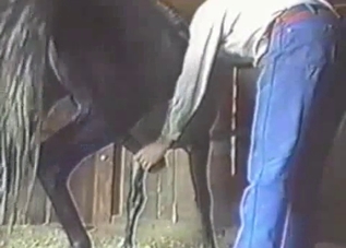 Hung stallion gets a real nice handjob