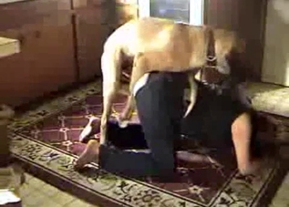 Doggy style drilling for a ripped pants hoe