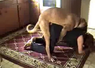 Doggy style drilling for a ripped pants hoe