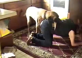 Doggy style drilling for a ripped pants hoe