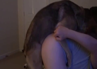 Dude gets his dog to fuck his gay ass